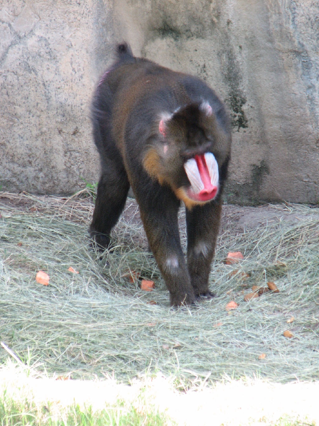 20100206 484.JPG